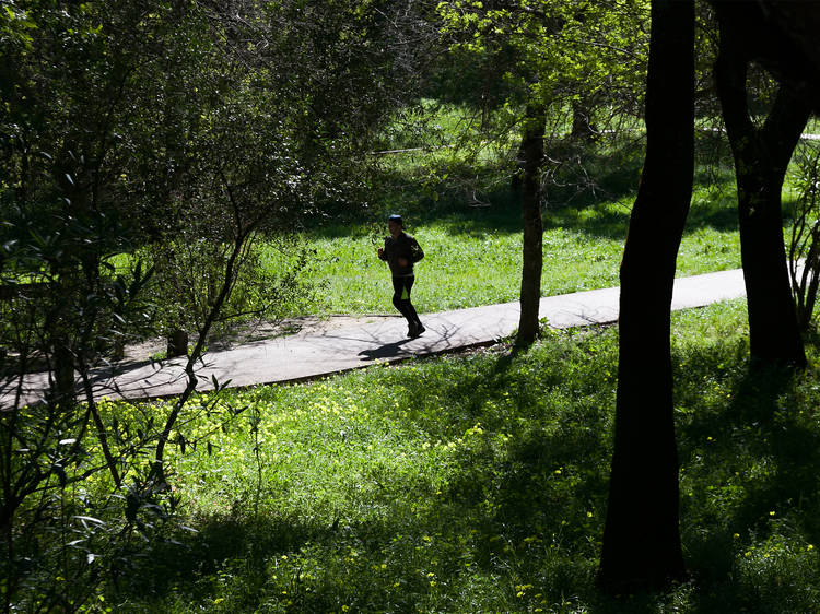 Parque José Gomes Ferreira