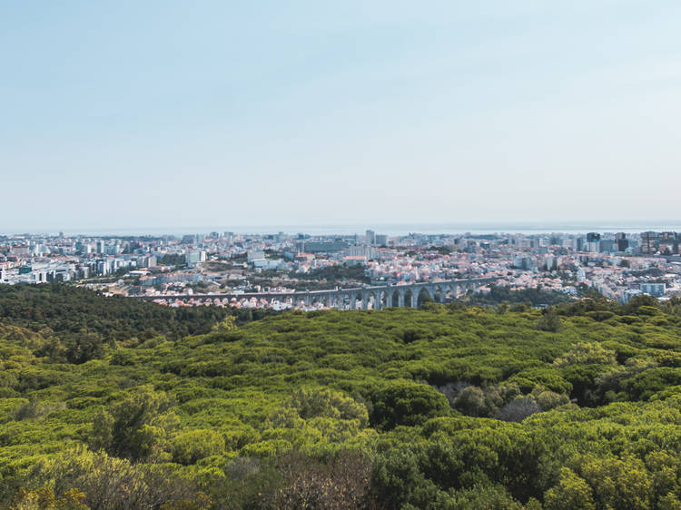 Coisas grátis para fazer em Lisboa