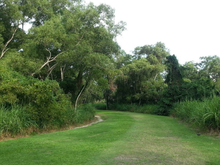 Tampines Eco Green