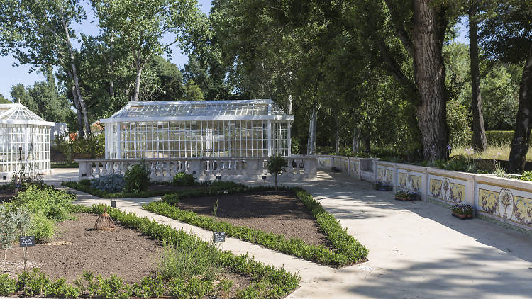 Jardim botanico do palacio de queluz