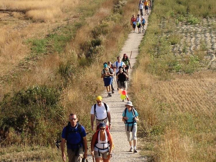 Walking the Camino de Santiago? Try the northern route