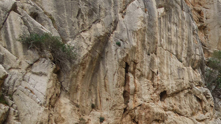 Walk fearlessly along the Caminito del Rey in Málaga