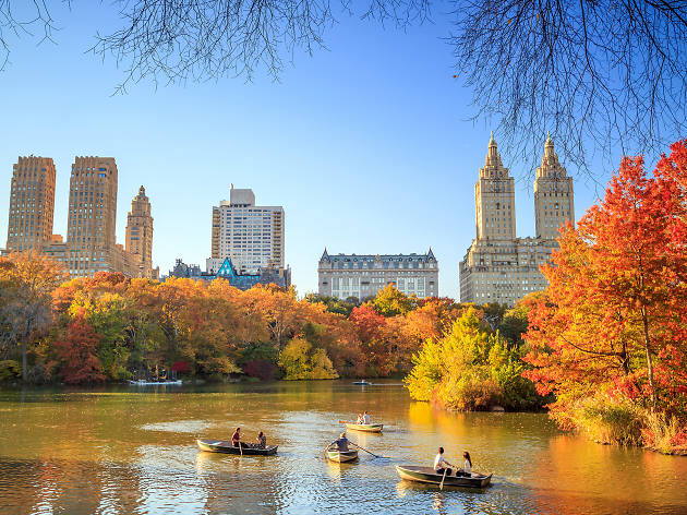 This Map Shows You The Best Time To See Gorgeous Fall Foliage In New York