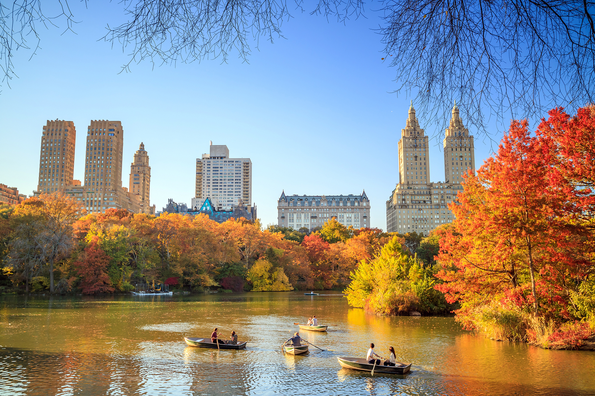 This map shows you the best time to see fall foliage in New York