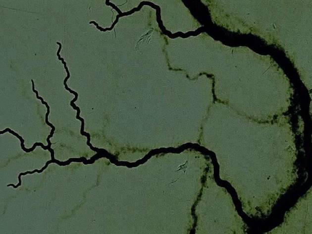 The Dead Sea Scrolls (S. Woloshen, 2018) The Dead Sea Scrolls (S. Woloshen, 2018)