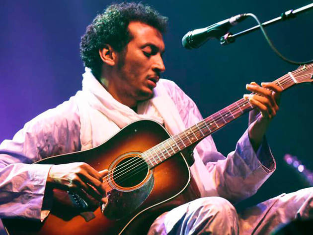 Bombino Bombino