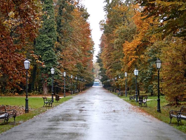 Maksimir park