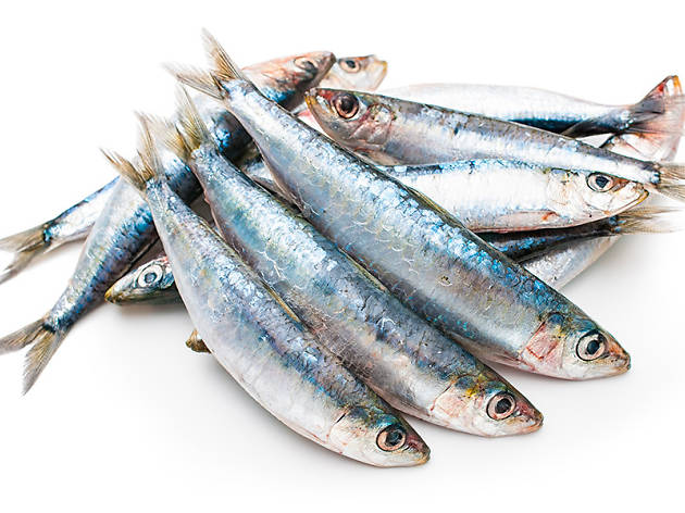 Sardines Sardines