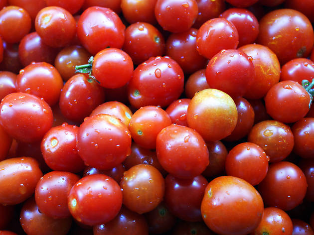Tomates Tomates