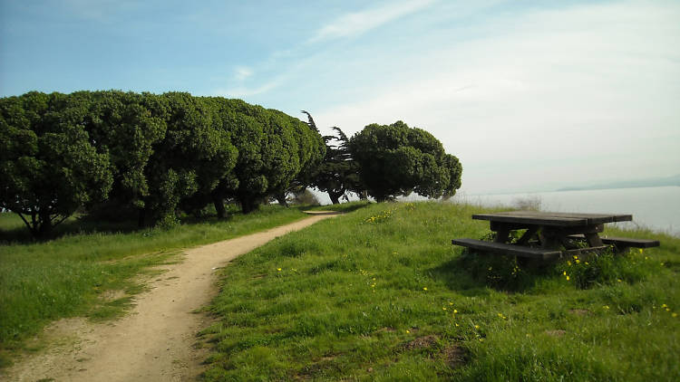 Candlestick Point Recreation Area