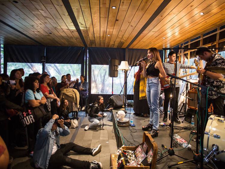 Música en vivo en la terraza de la Cineteca Nacional