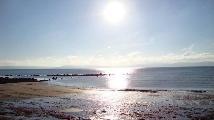 Watch the boats criss-cross Galway Bay - or get on one