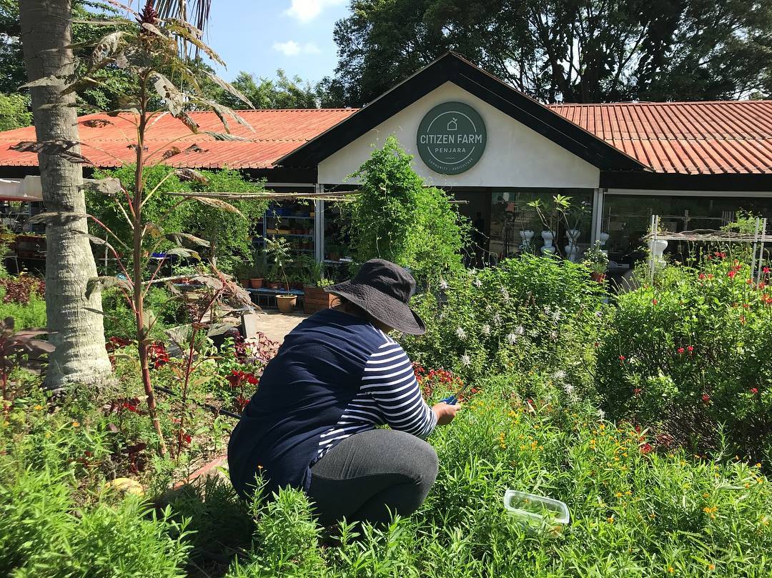 Citizen Farm