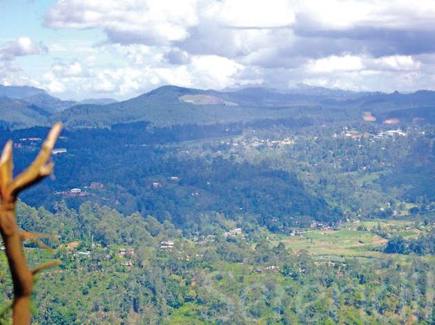 The Bliss of Bandarawela The Bliss of Bandarawela