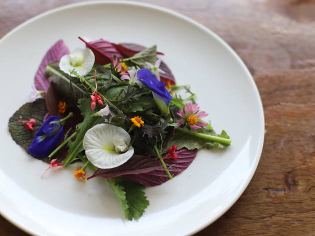 Loco for locavore: we talk to local farmers feeding the movement Loco for locavore: we talk to local farmers feeding the movement
