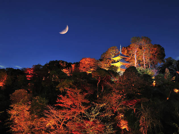 ホテル椿山荘東京 庭園の紅葉ライトアップ クリスマスデコレーション