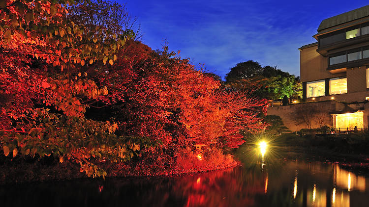 Hotel Chinzanso Autumn Garden Lightup