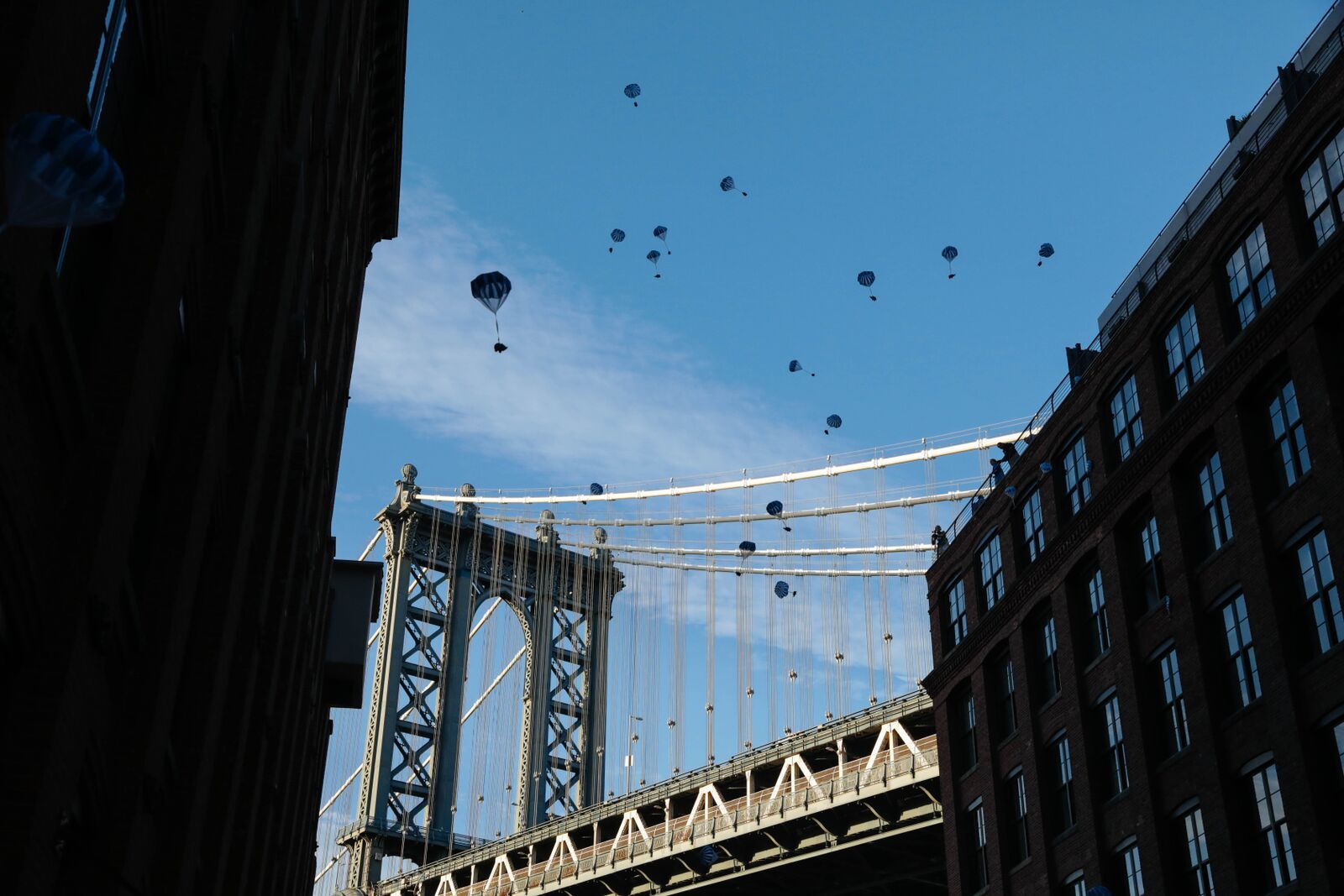 Dumbo Drop Things to do in New York Kids