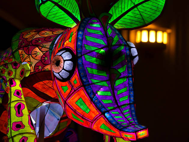 Alebrijes iluminados Alebrijes iluminados