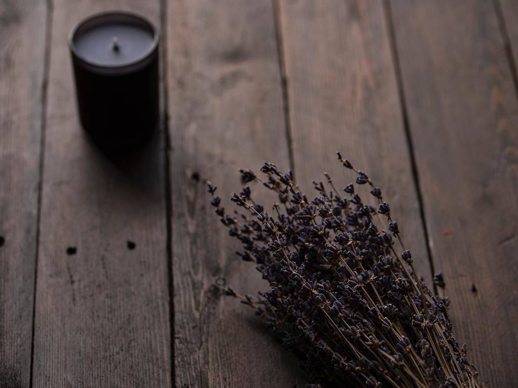 10 Flower Shops in Miami For Bouquets, Arrangements and Gifts