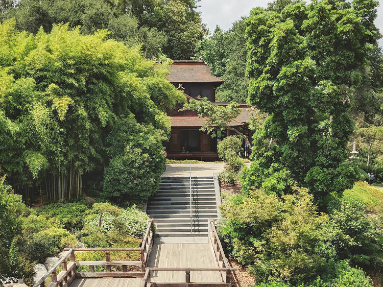 Enjoy books and botany at the Huntington Library