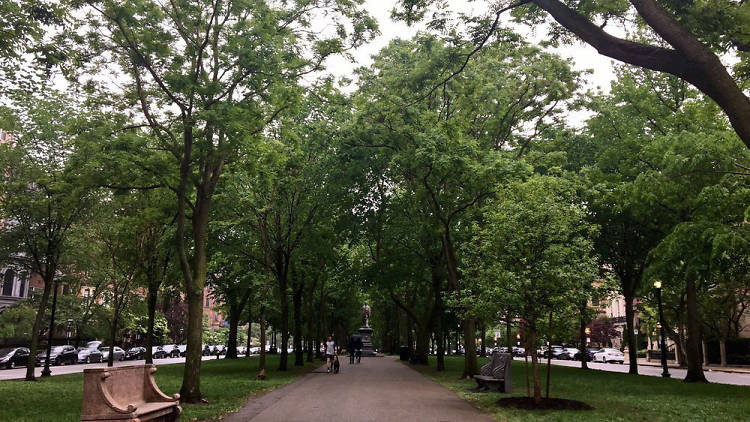 Commonwealth Avenue Mall | Attractions in Back Bay, Boston