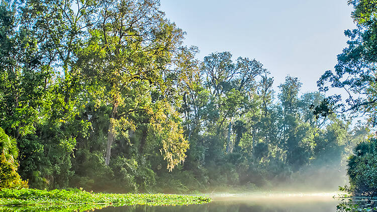 Wekiwa Springs State Park