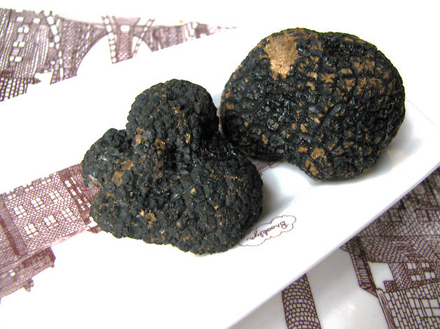 Truffle Days Truffle Days