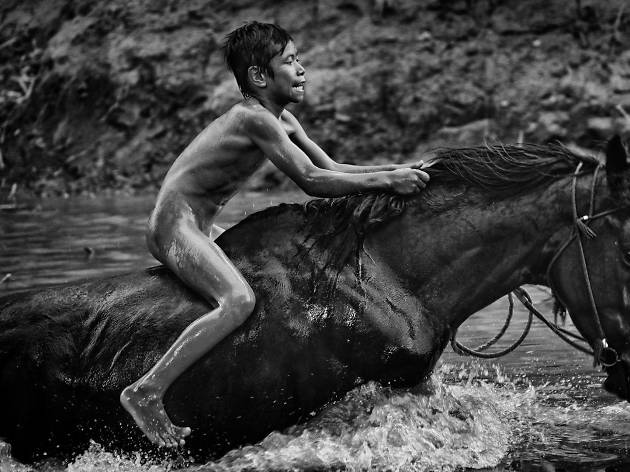World Press Photo World Press Photo