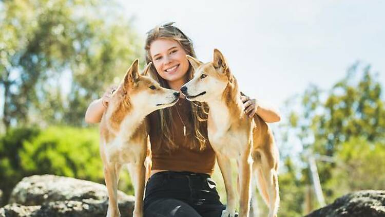 Mornington wildlife encounter: Moonlit Sanctuary