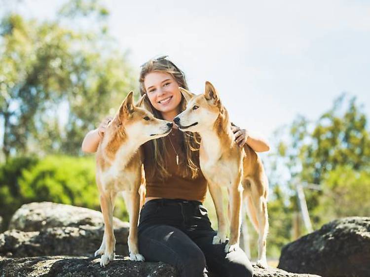 Mornington wildlife encounter: Moonlit Sanctuary