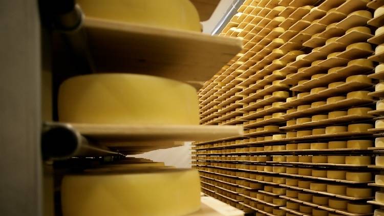 Tour a top cheesemaker