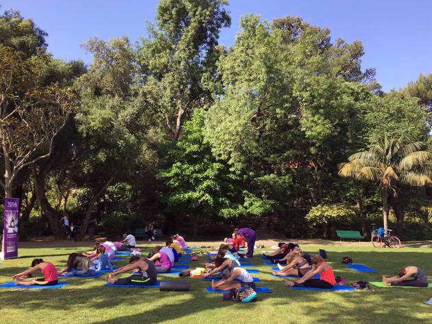 Yoga no Parque Yoga no Parque