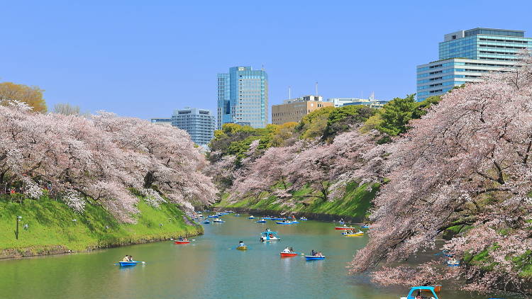 chidorigafuchi