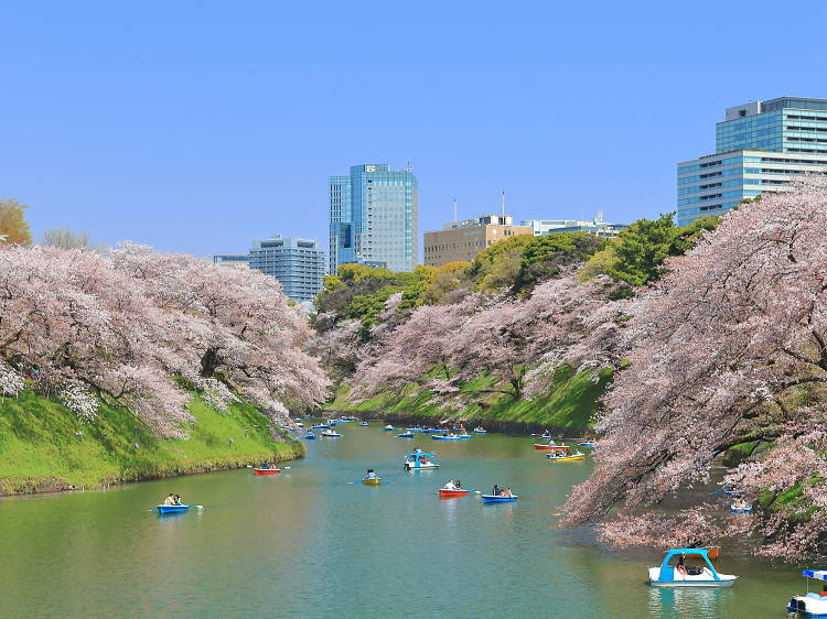 千鳥ヶ淵ボート場