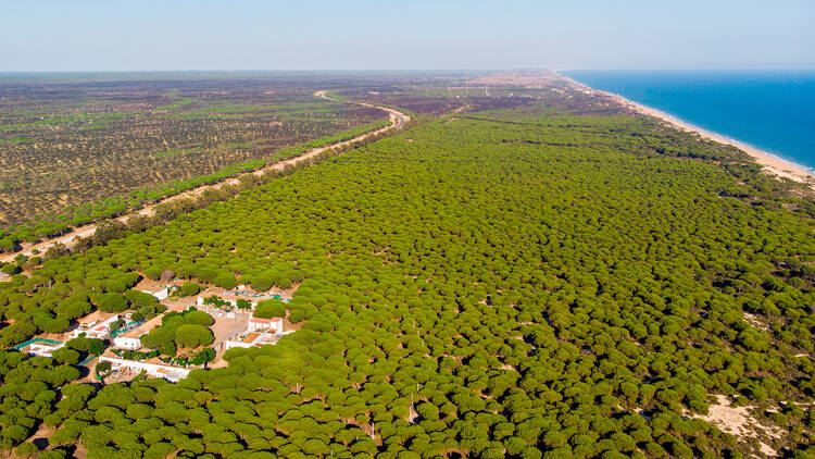 Go on safari in the Doñana dunes in Huelva