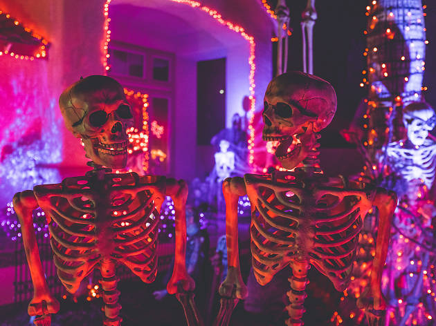 Halloween Halloween