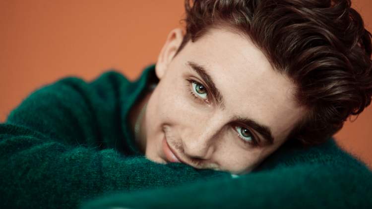 Why is the internet so obsessed with Timothée Chalamet? - The