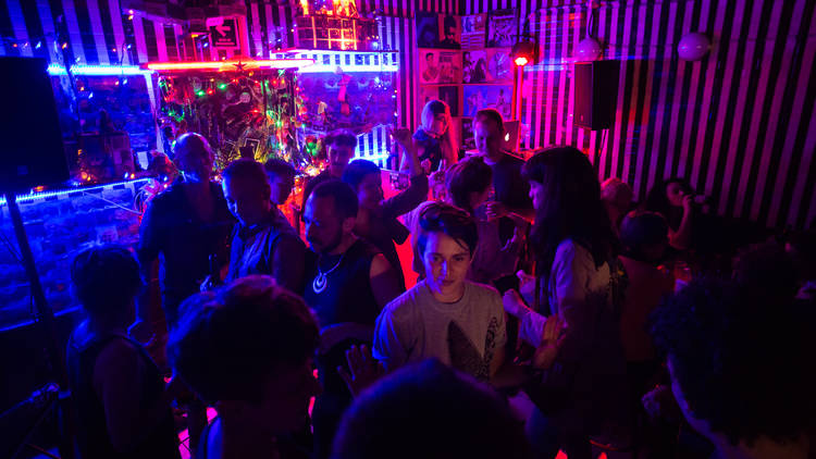 Marisquería La Cañita, espacio queer con cumbia, ceviche y libertad en la  Doctores