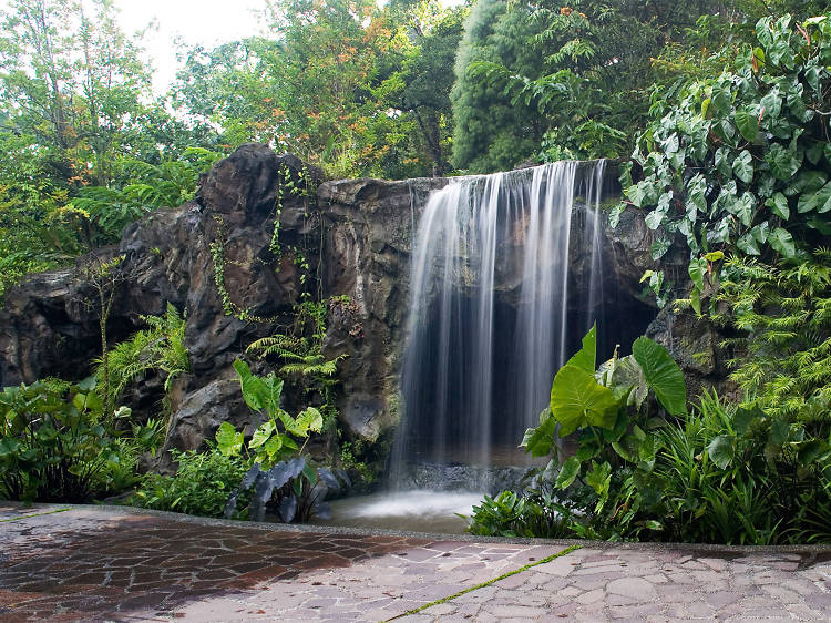 Singapore Botanic Gardens