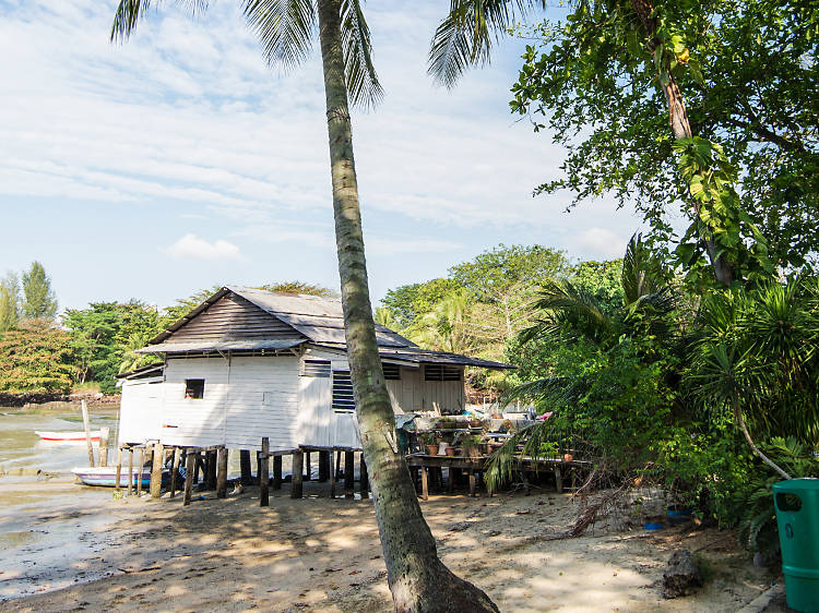 Explore Pulau Ubin by bike