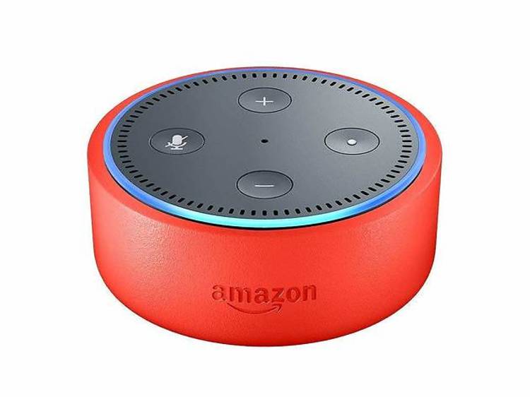 Echo Dot