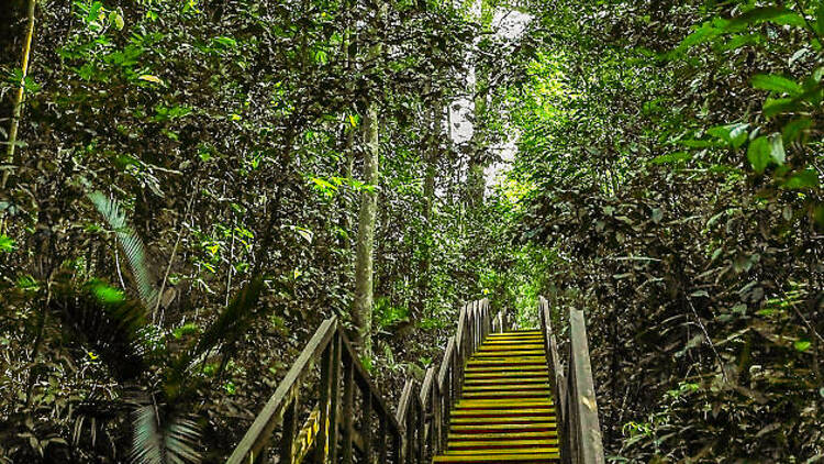 Bukit Timah Hill