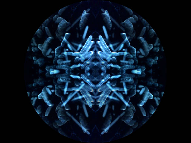 Particle/Wave review Particle/Wave review