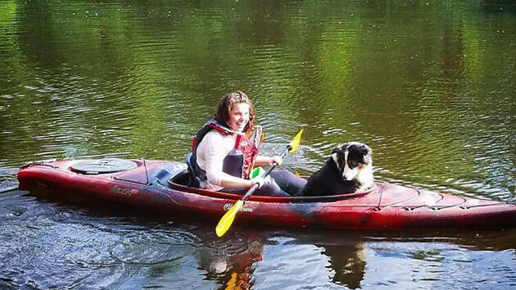 Charles River, Paddle Boston