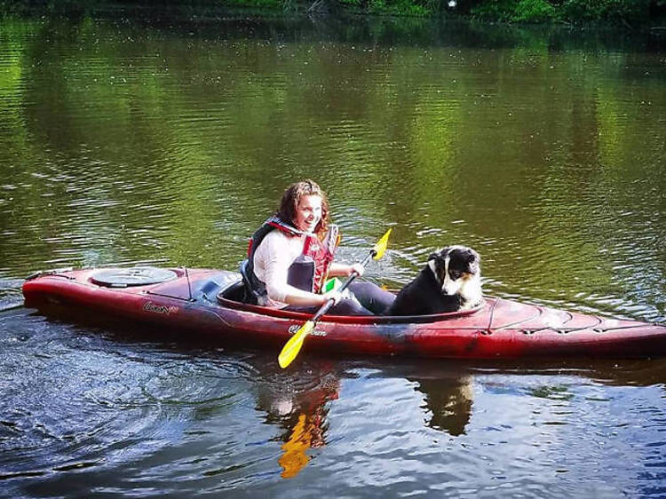 Charles River, Paddle Boston