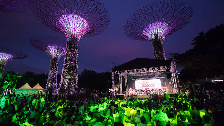 gardens by the bay, neon jungle 