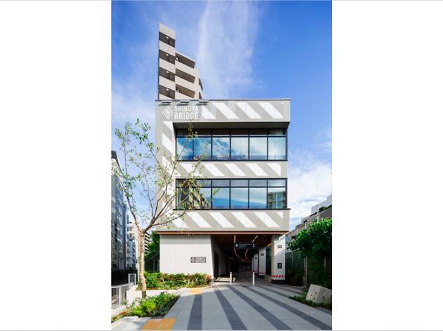 Shibuya Daikanyama R Project Things To Do In Shibuya Tokyo