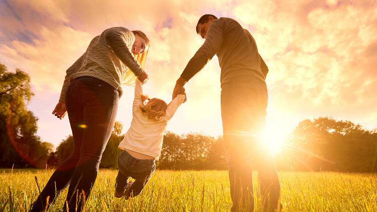 Talleres y cursos para padres