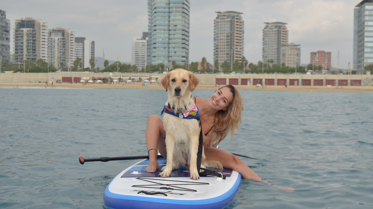 Paddle Surf con mascotas